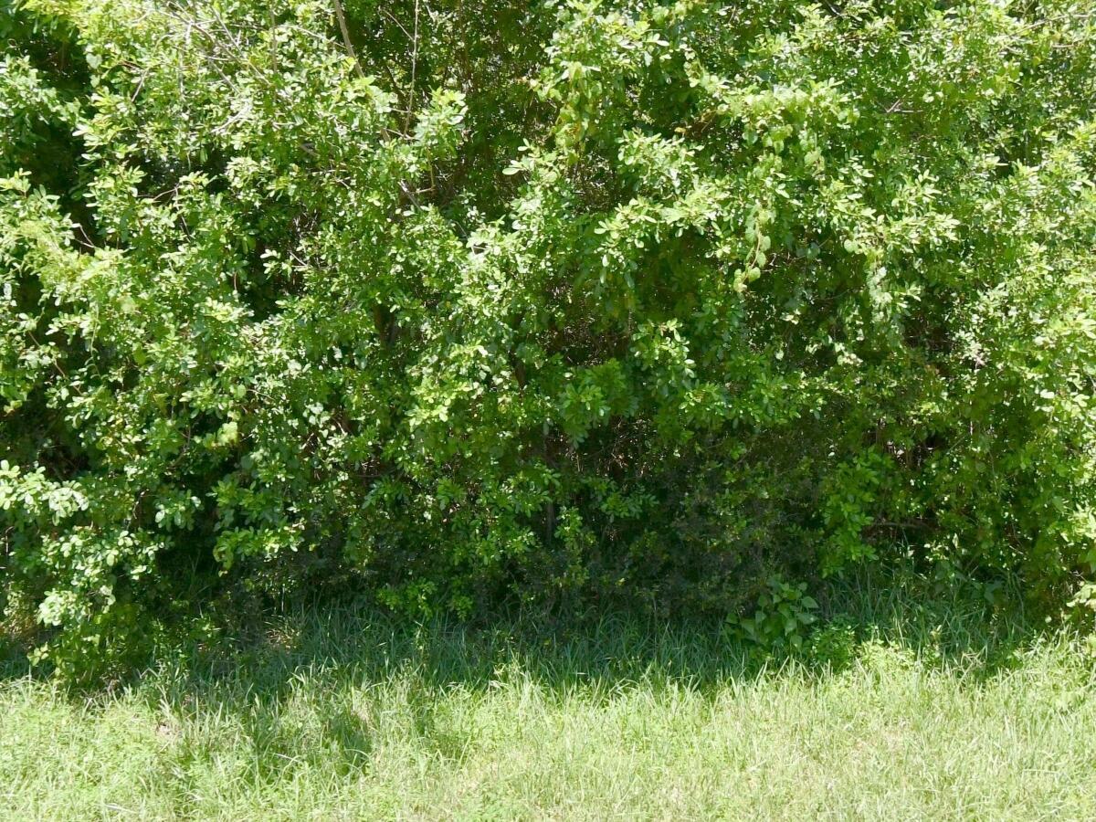 172 SW Gettysburg Drive, Port St. Lucie FL 34953