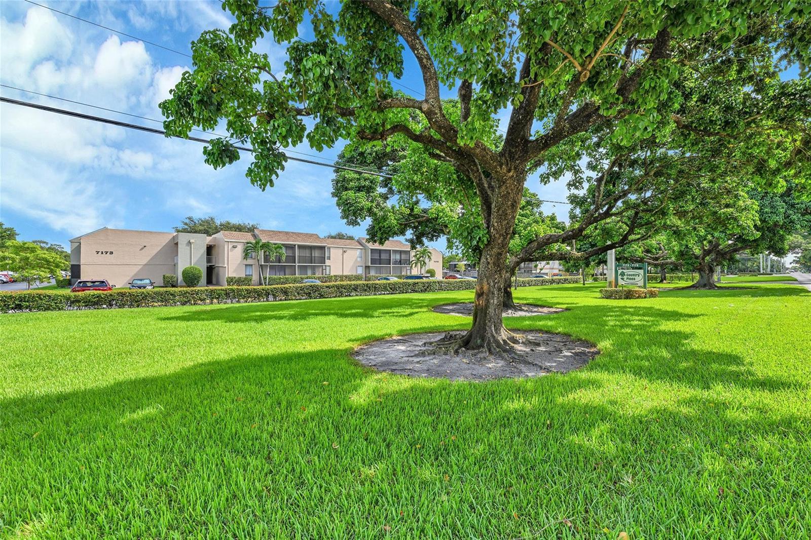 7173 Orange Drive # 215b, Davie FL 33314 photo 2