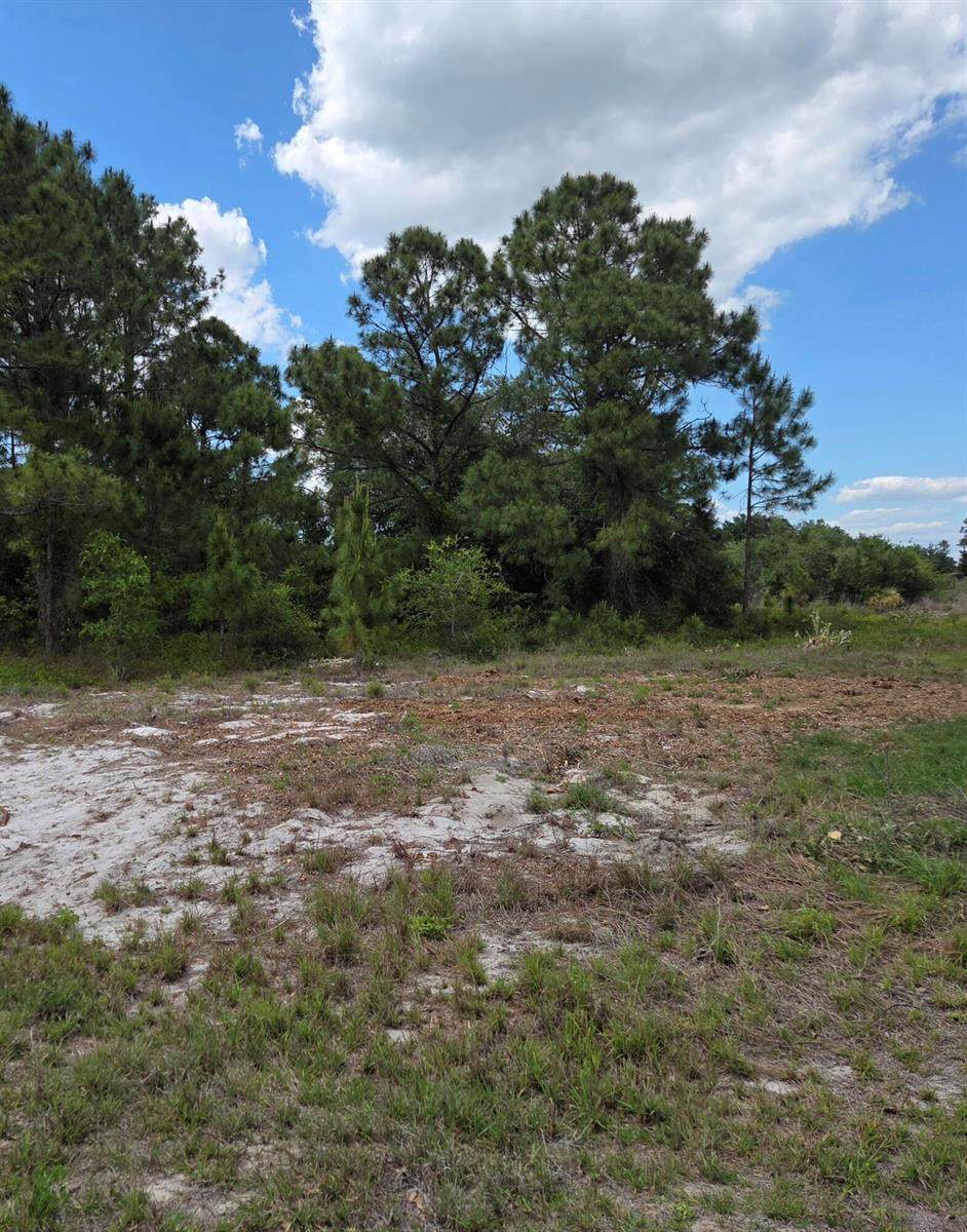232 Silver Avenue, Lake Placid FL 33852 photo 2
