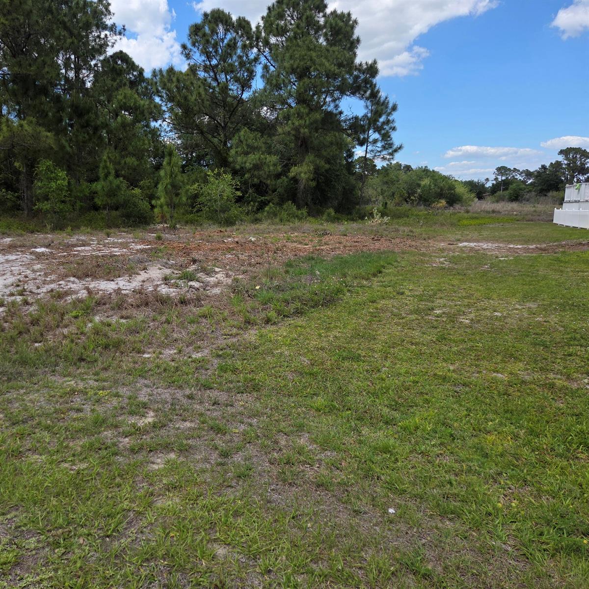 232 Silver Avenue, Lake Placid FL 33852 photo 3