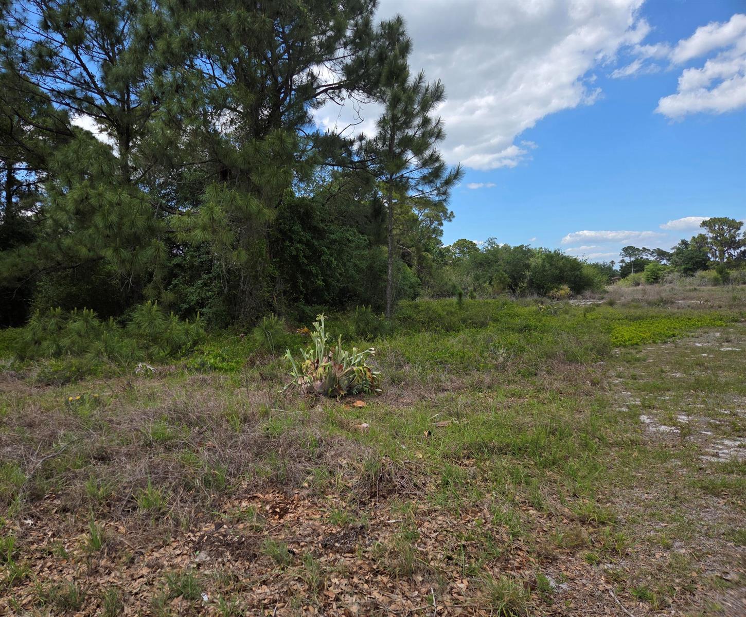 232 Silver Avenue, Lake Placid FL 33852 photo 5