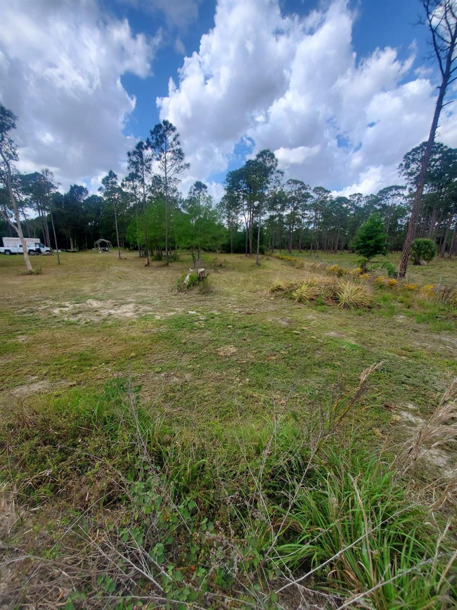 4450 Pioneer 9th Street, Clewiston FL 33440 photo 2