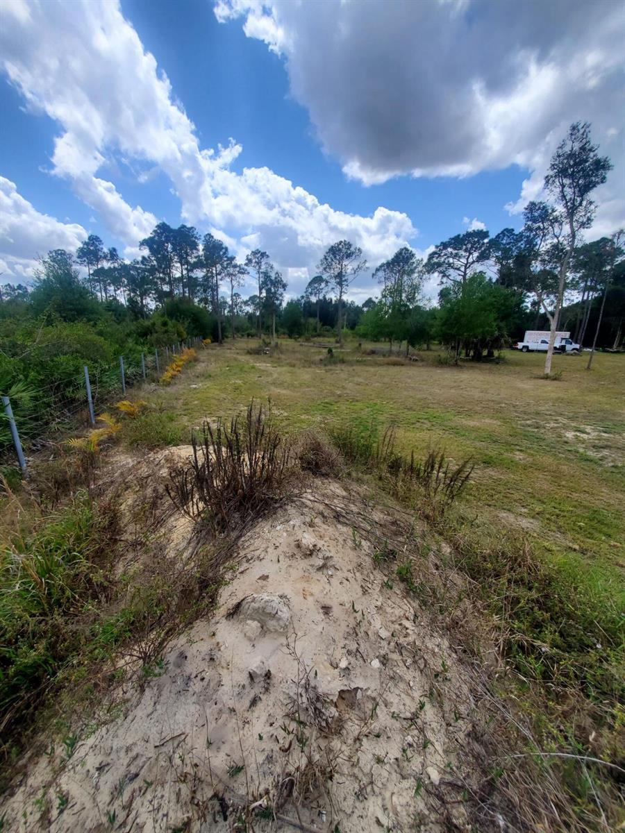 4450 Pioneer 9th Street, Clewiston FL 33440 photo 4