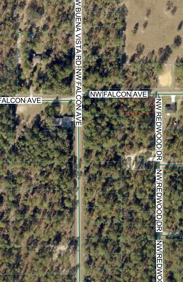 Tbd NW Redwood Drive, FL 34431 photo 2