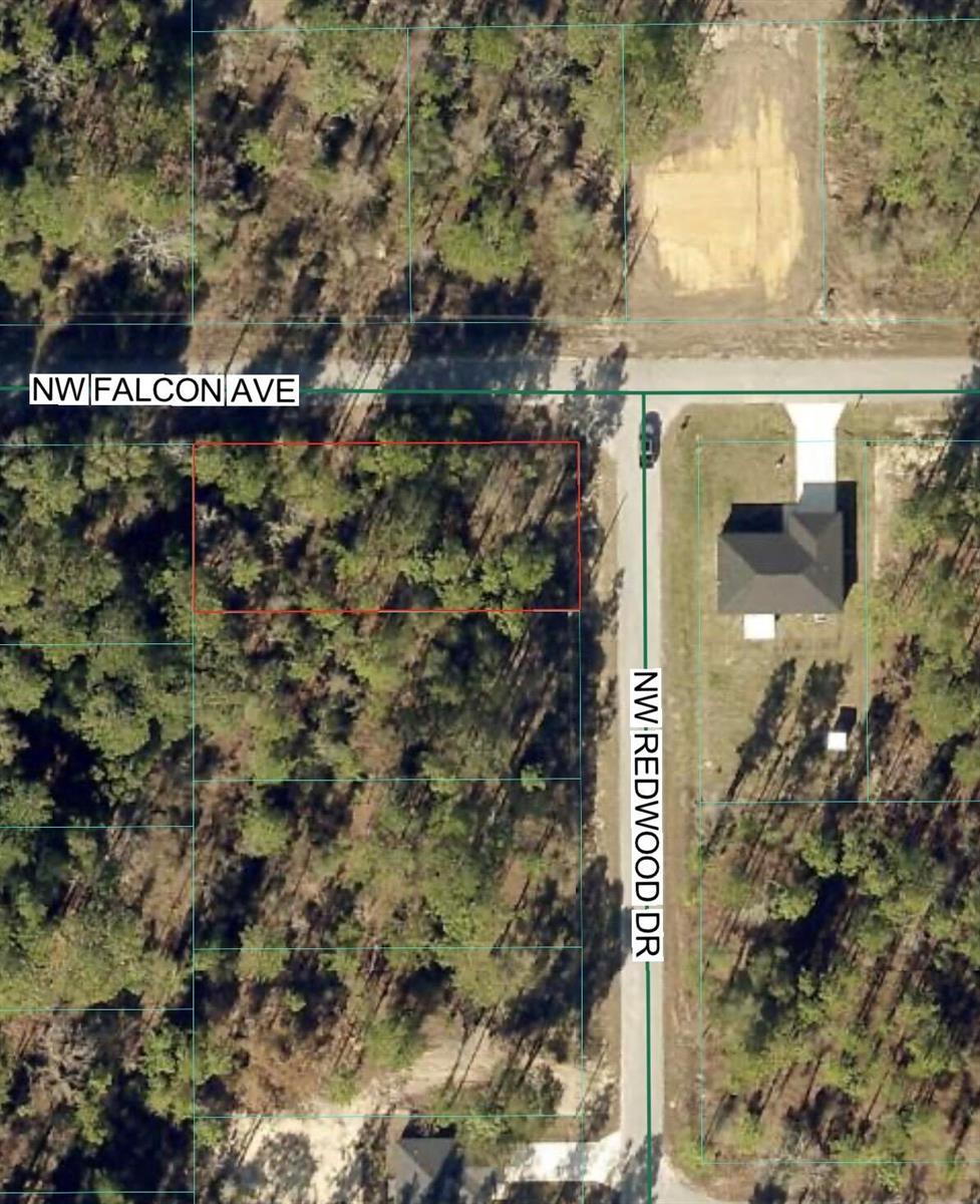 Tbd NW Redwood Drive, FL 34431 photo 4