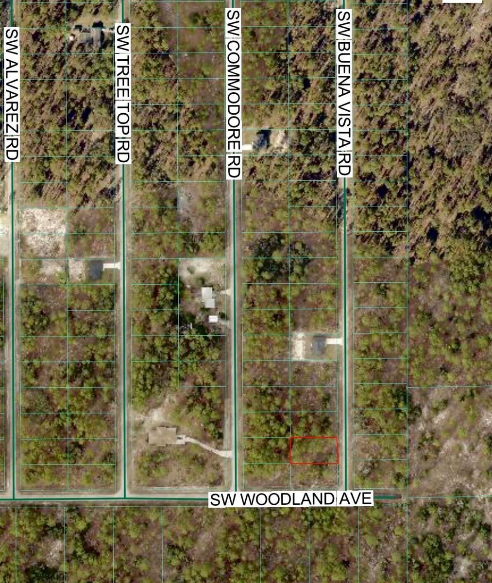 Tbd SW Buena Vista Road, FL 34431 photo 3