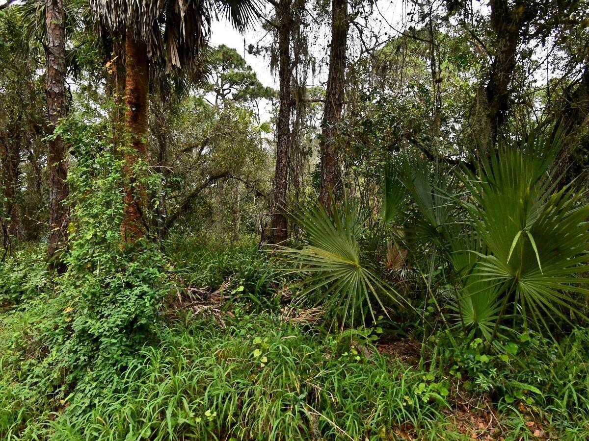 Tbd Oak Hammock Lane, Fort Pierce FL 34981 photo 3
