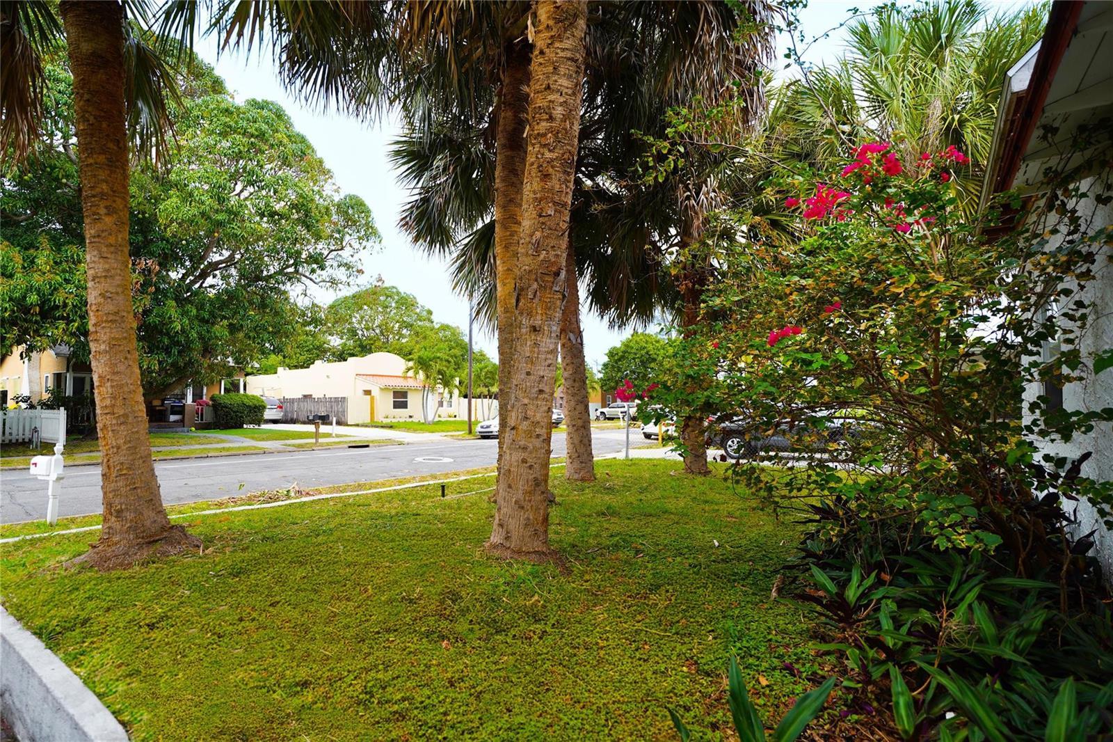 624 51st Street, West Palm Beach FL 33407 photo 5