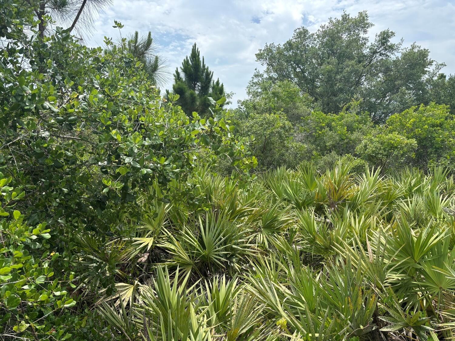 0 Turnpike Feeder Road, Fort Pierce FL 34945 photo 2