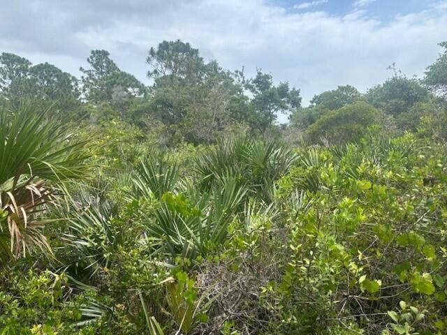 0 Turnpike Feeder Road, Fort Pierce FL 34945 photo 3