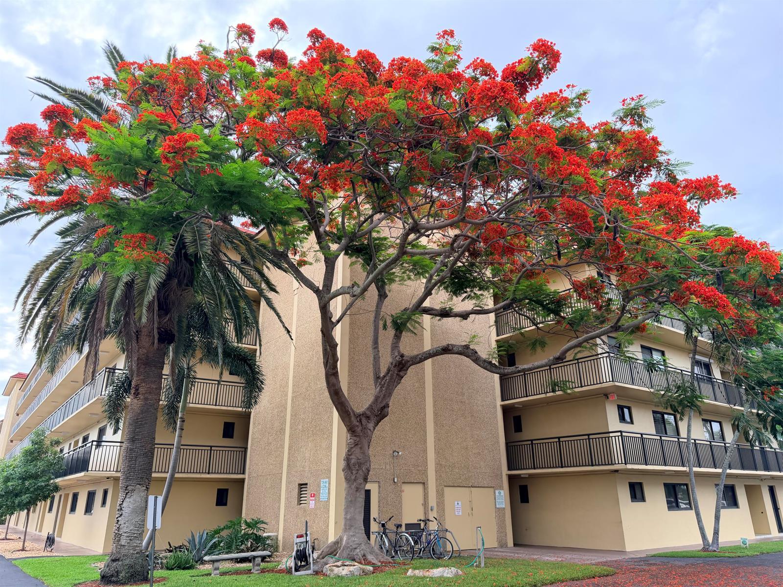2601 NE 14th Street # 535, Pompano Beach FL 33062 photo 4