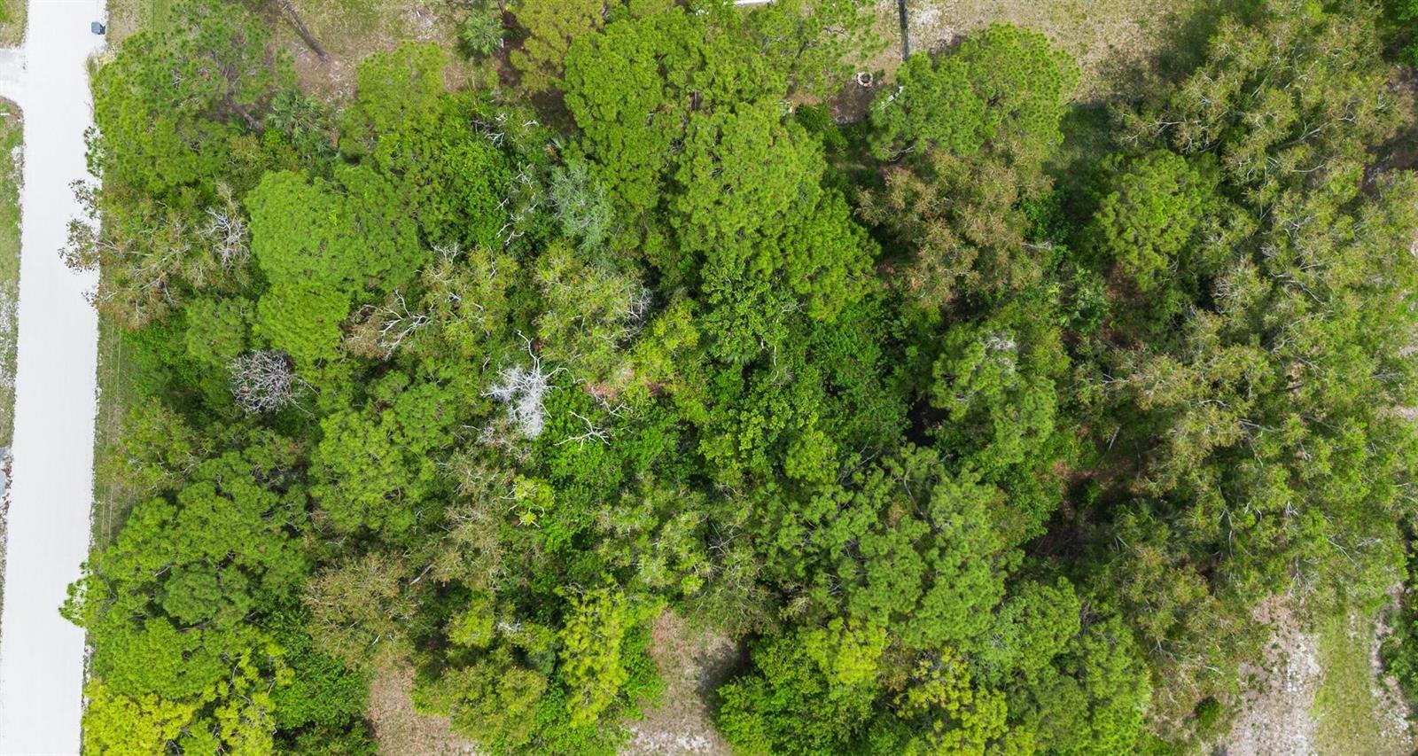 Tbd 122nd Drive N, FL 33411 photo 5