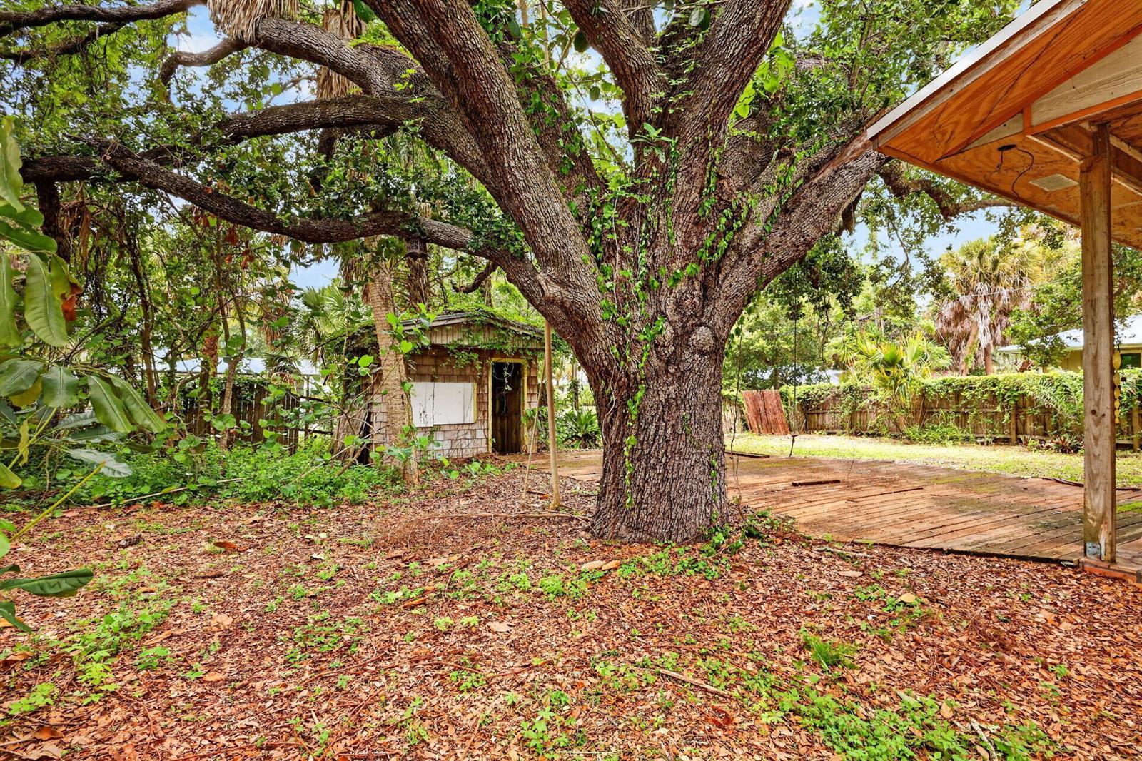 968 NE Kubin Avenue, Jensen Beach FL 34957 photo 3