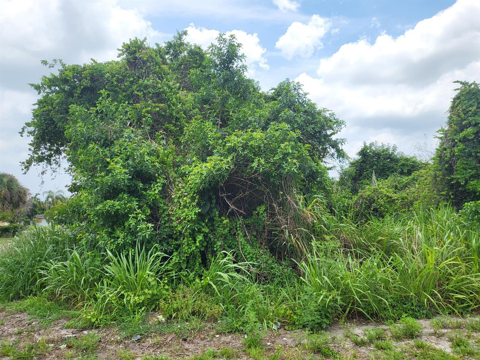0 Avenue R, Fort Pierce FL 34947 photo 3