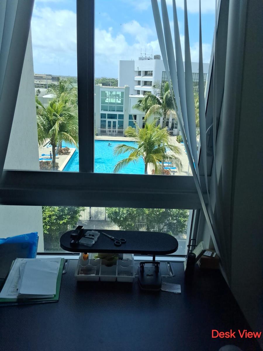 300 S Australian Avenue # 916, West Palm Beach FL 33401 photo 3