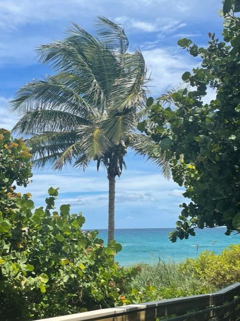 291 Mercury Road # 2, Juno Beach FL 33408