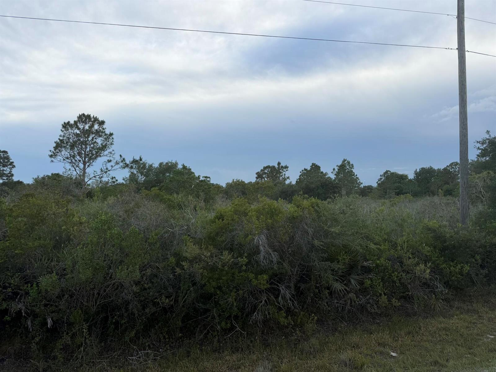 15840 NW 298th Street, Okeechobee FL 34972 photo 2