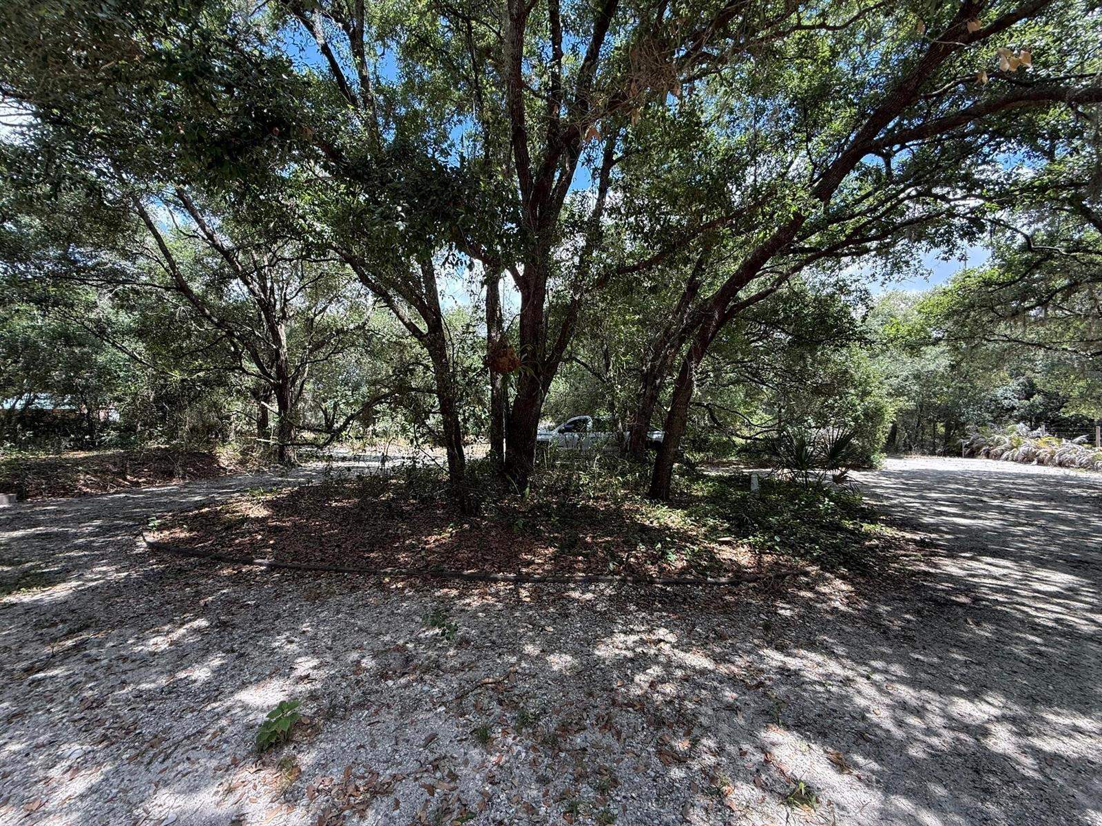 18561 NW 306th Street, Okeechobee FL 34972 photo 3