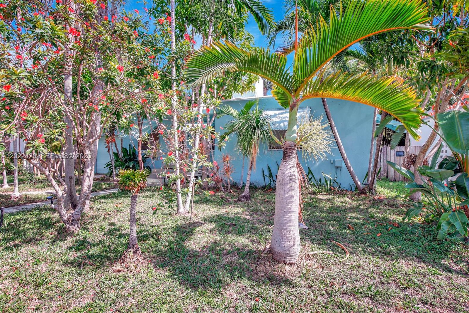 1523 Dewey St, Hollywood FL 33020 photo 3