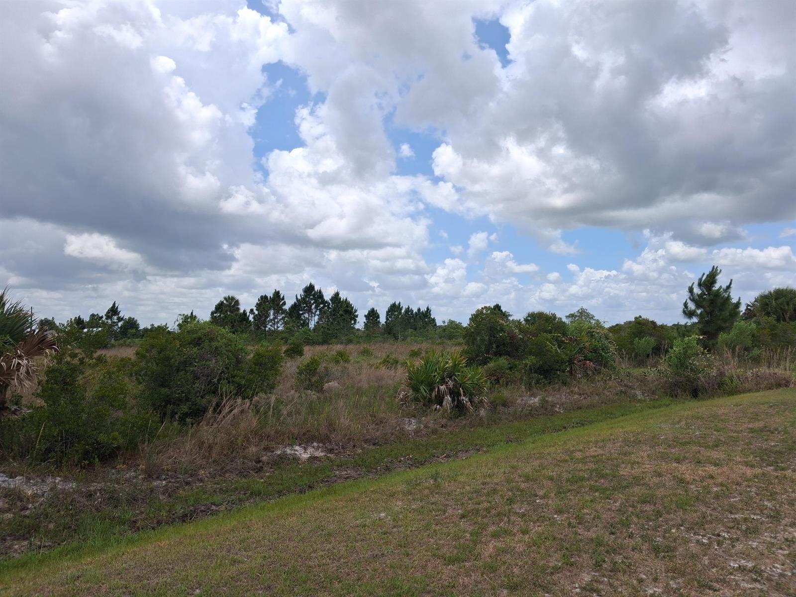 18668 NW 258th Street, Okeechobee FL 34972 photo 3