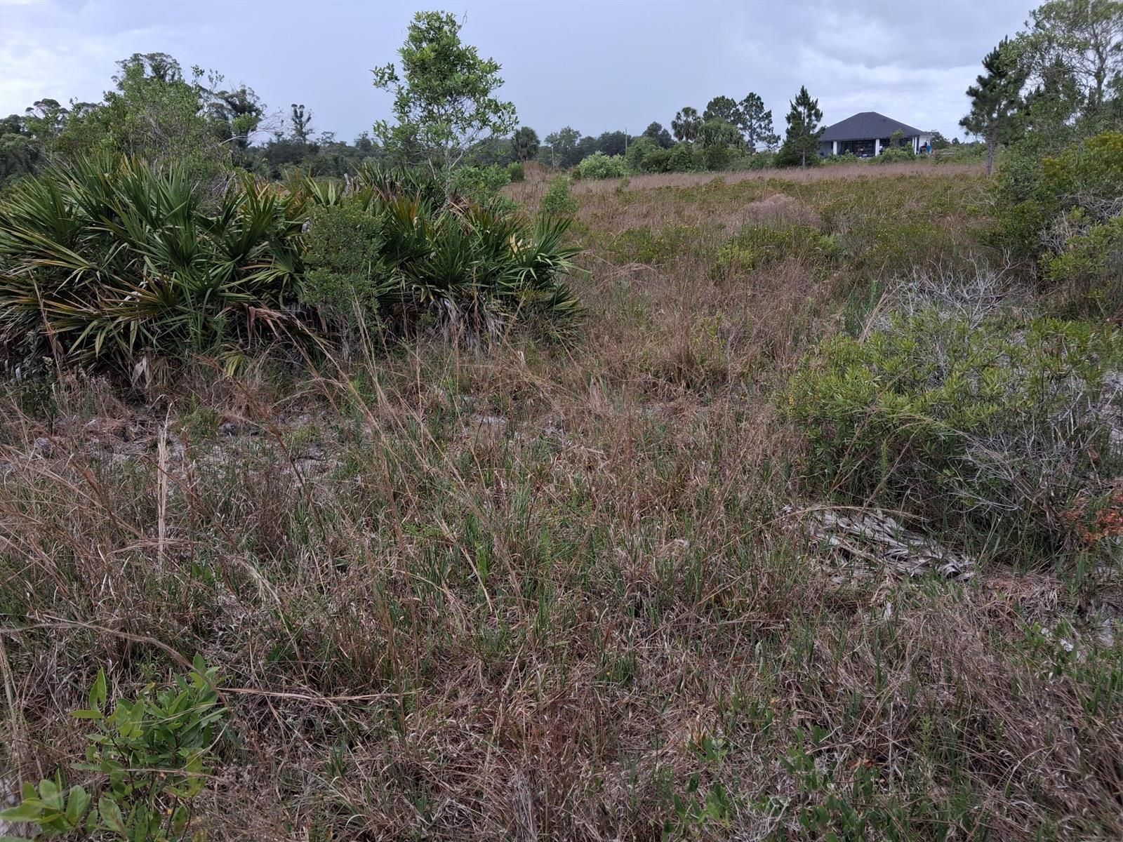 18668 NW 258th Street, Okeechobee FL 34972 photo 5