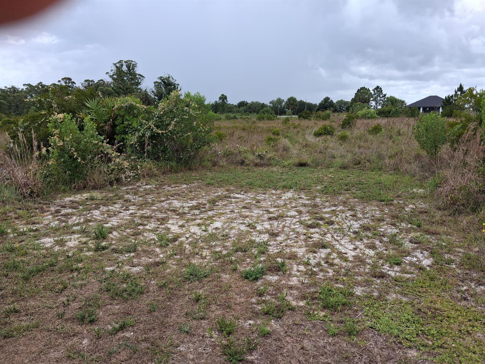 18668 NW 258th Street, Okeechobee FL 34972 photo 4