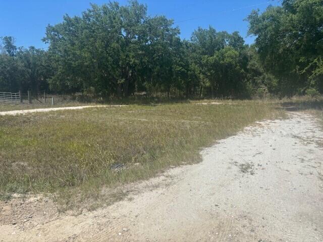 19201 NW 256th Street, Okeechobee FL 34972 photo 2
