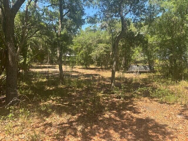 19201 NW 256th Street, Okeechobee FL 34972 photo 3