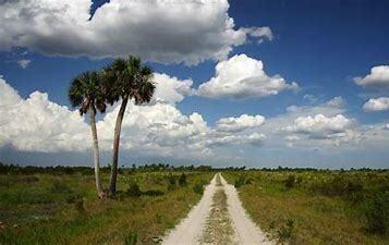 15455 NW 268th Street, Okeechobee FL 34972 photo 3