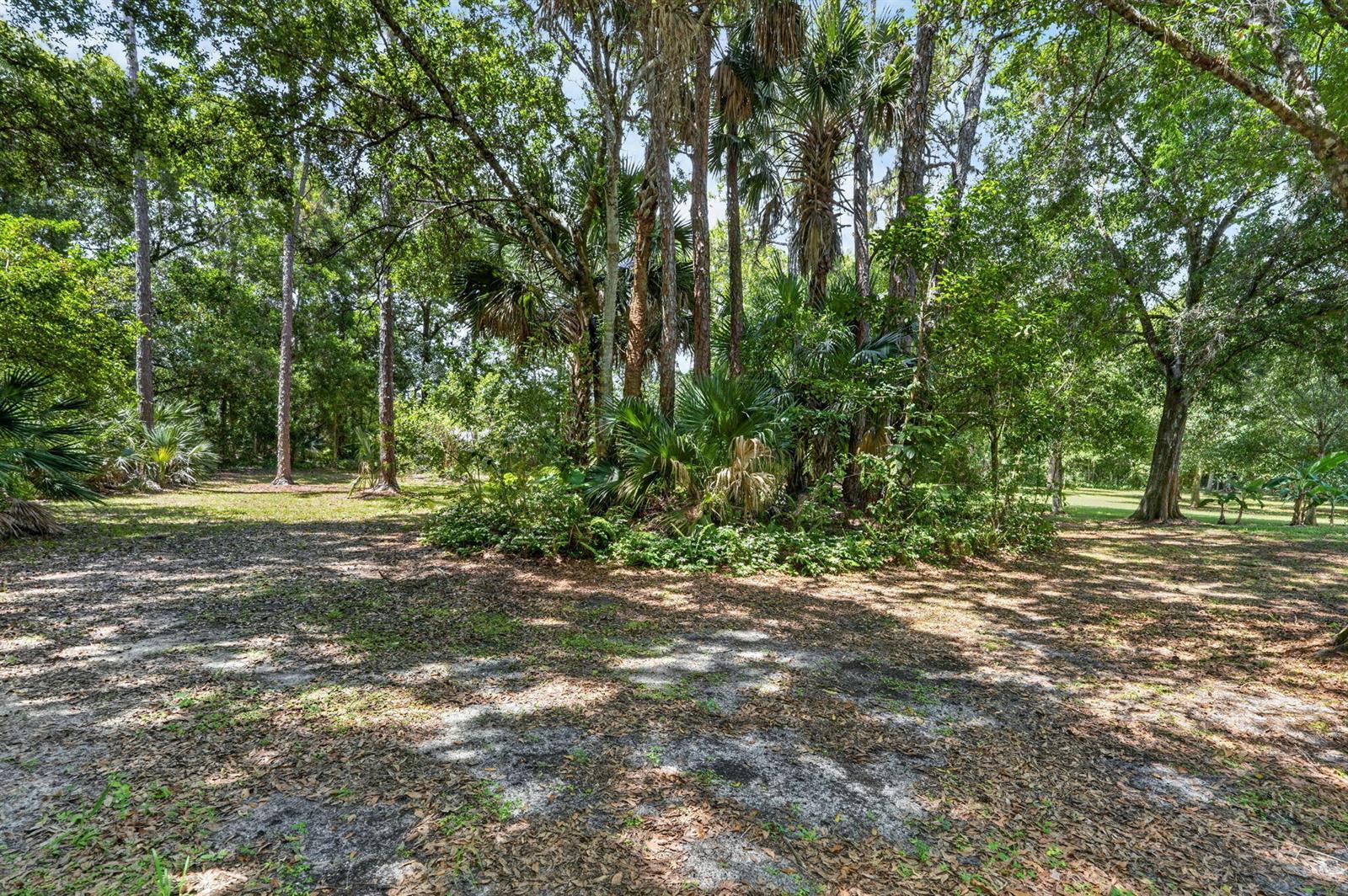 15721 111th Terrace N, Jupiter FL 33478 photo 5