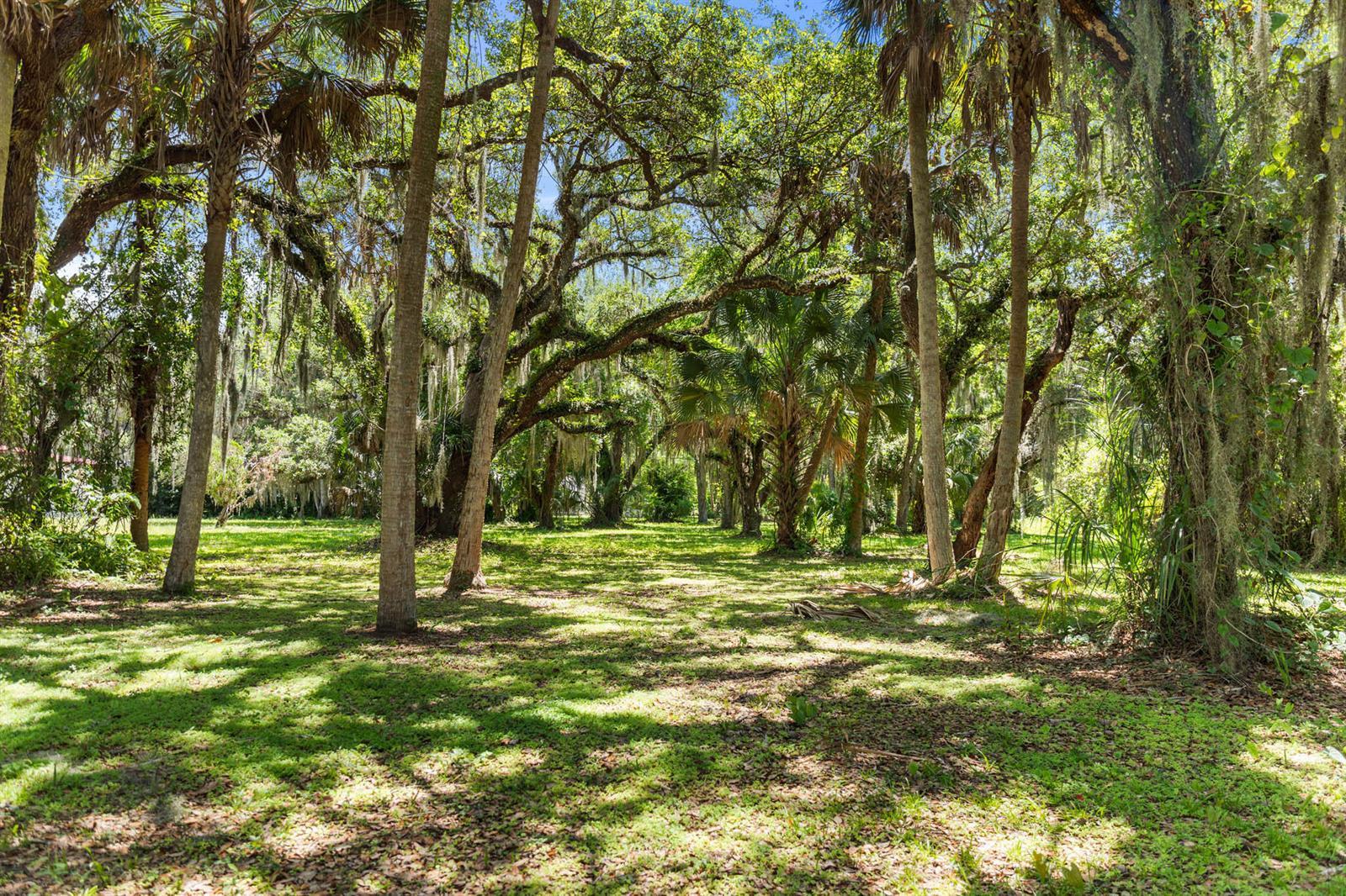 409 SW 15th Street, Okeechobee FL 34974 photo 4