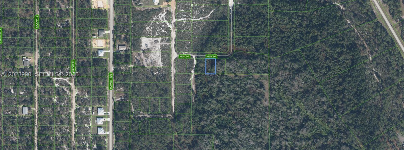 817 Neal, Sebring FL 33875 photo 2