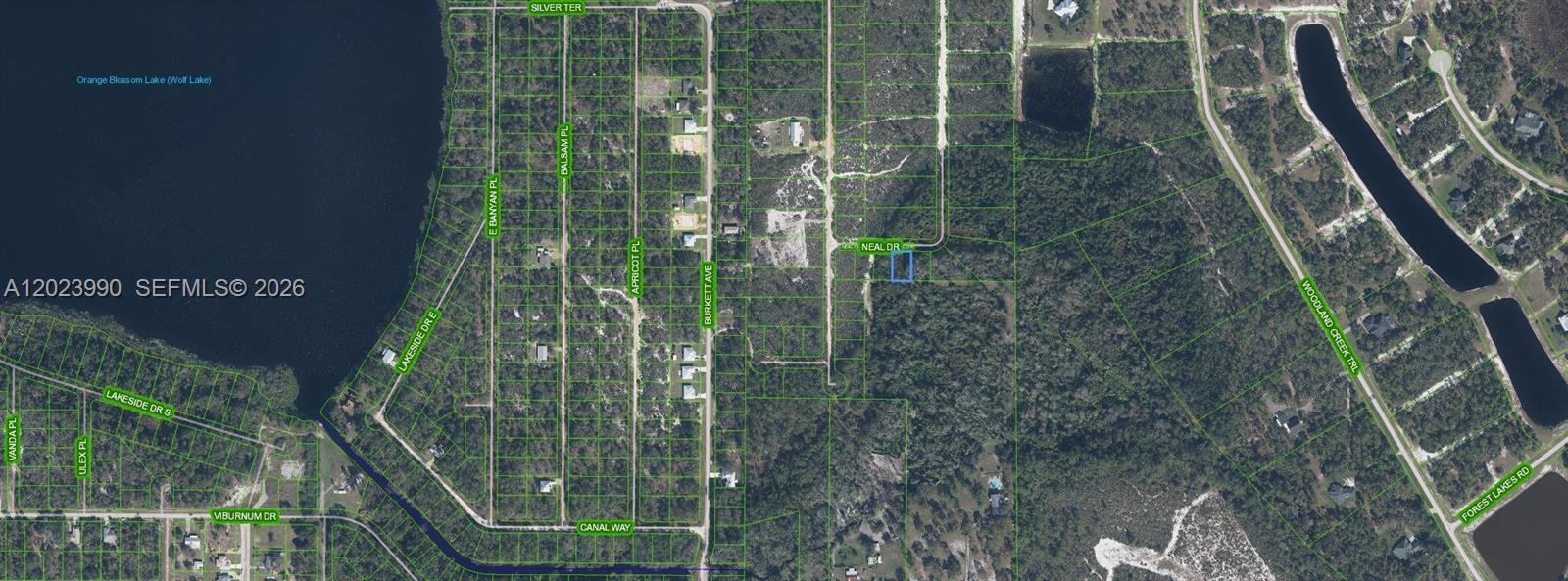 817 Neal, Sebring FL 33875 photo 3