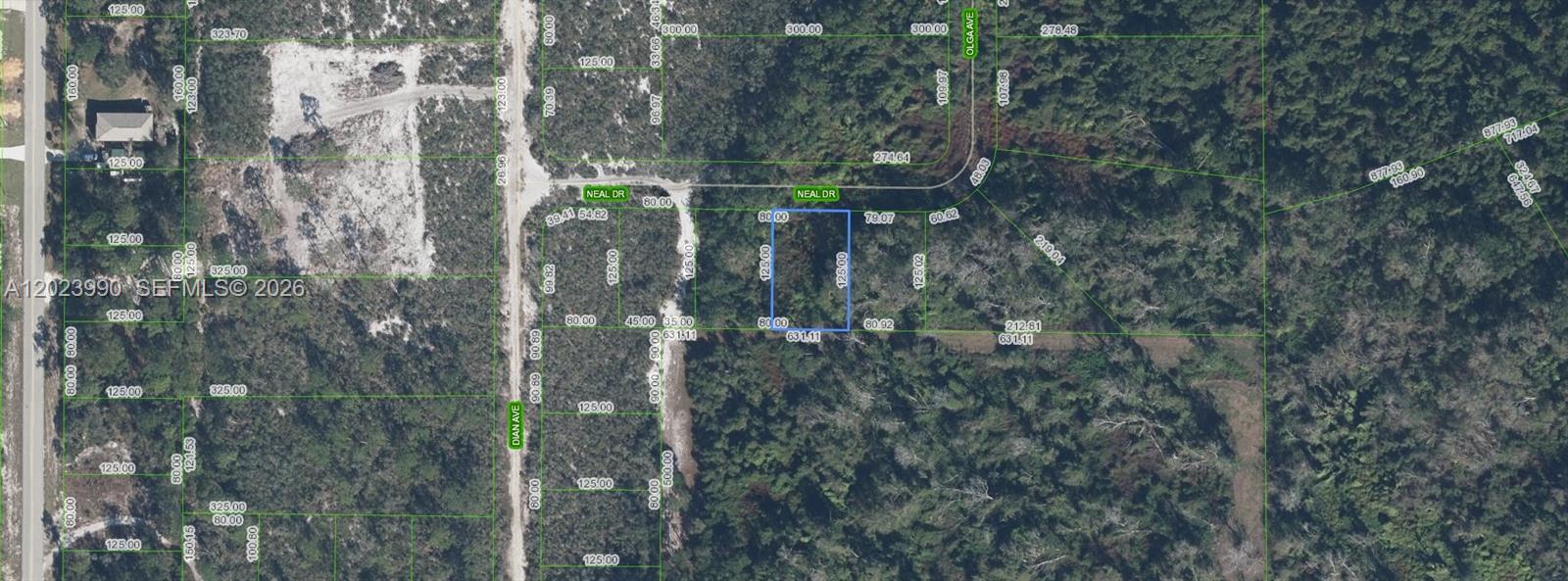 817 Neal, Sebring FL 33875