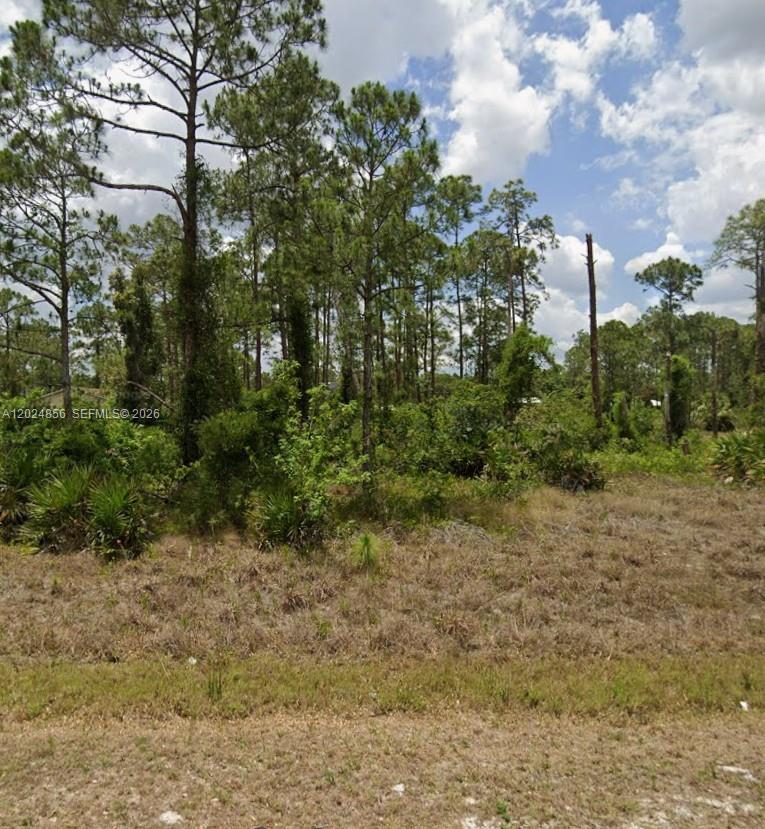 2315 McArthur, Lehigh Acres FL 33920 photo 2