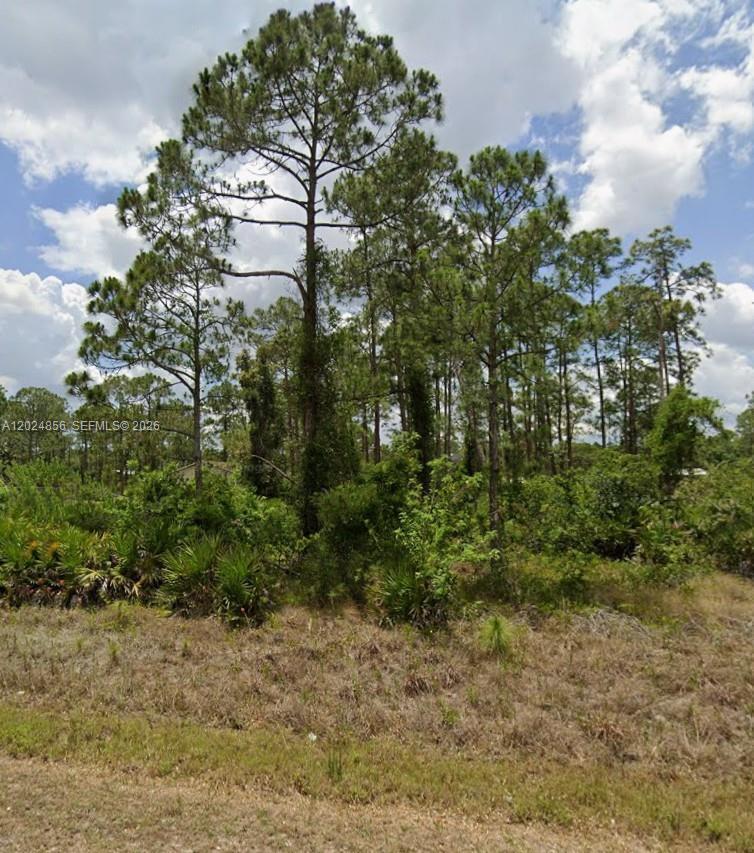 2315 McArthur, Lehigh Acres FL 33920 photo 3