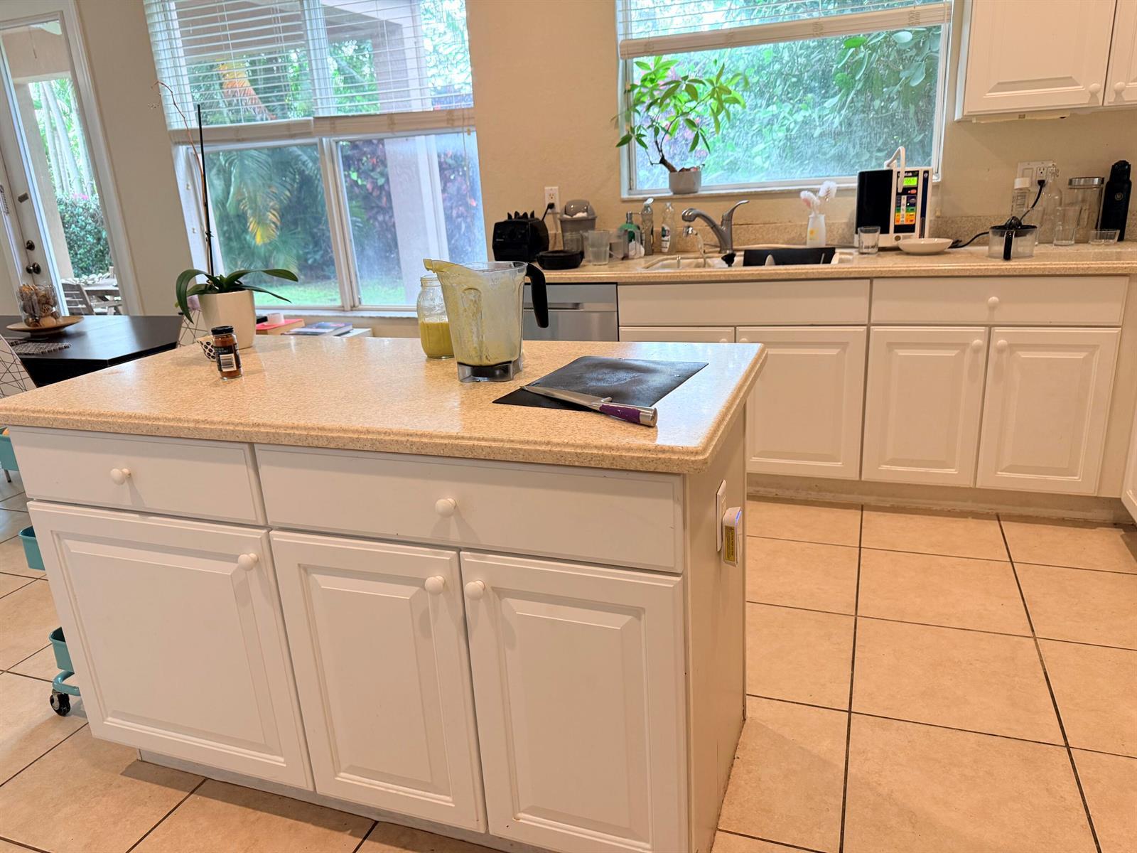 17 Country Lake Circle, Boynton Beach FL 33436 photo 5
