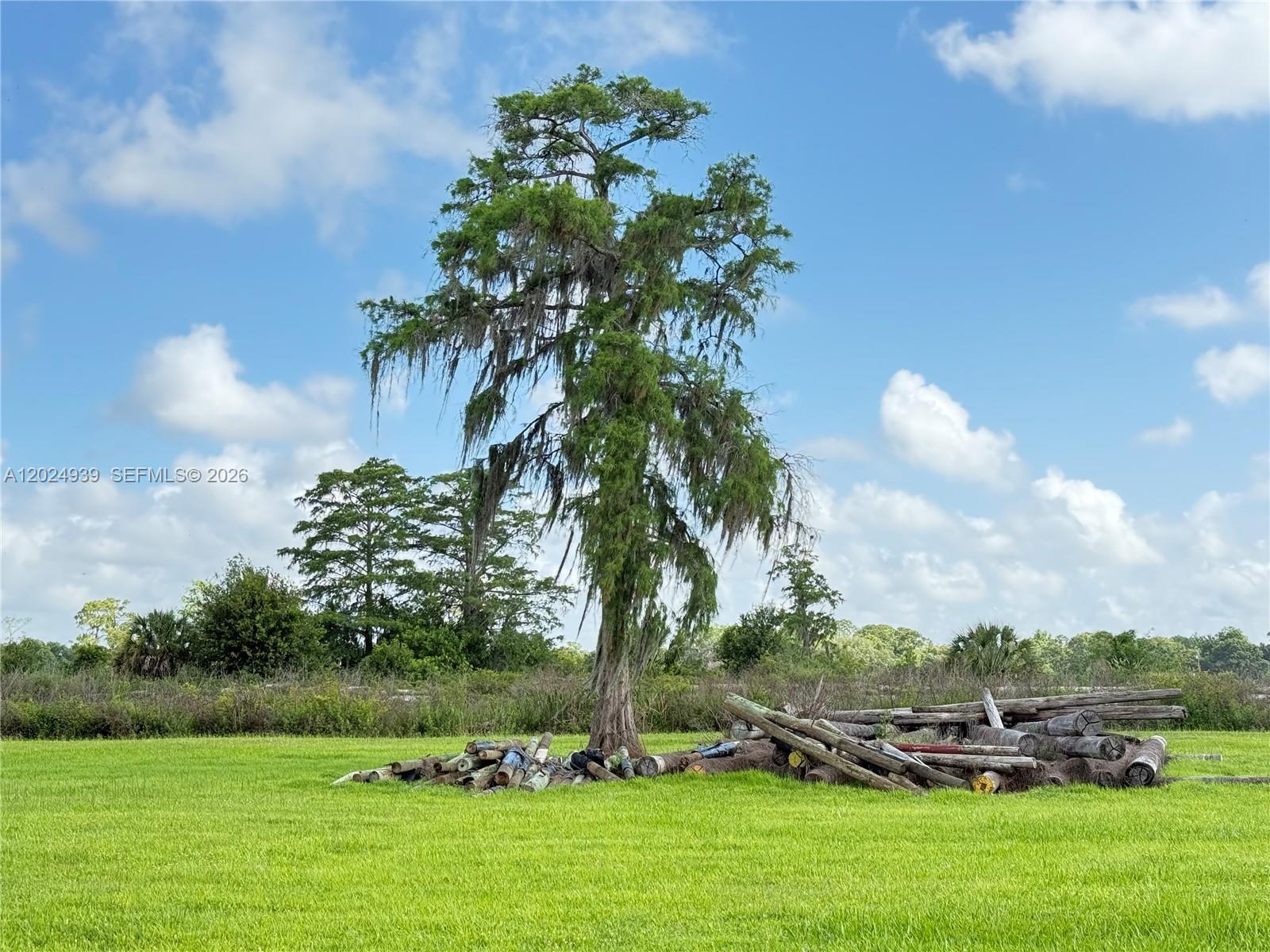 709 SIBONEY AVE, Clewiston FL 33440 photo 2
