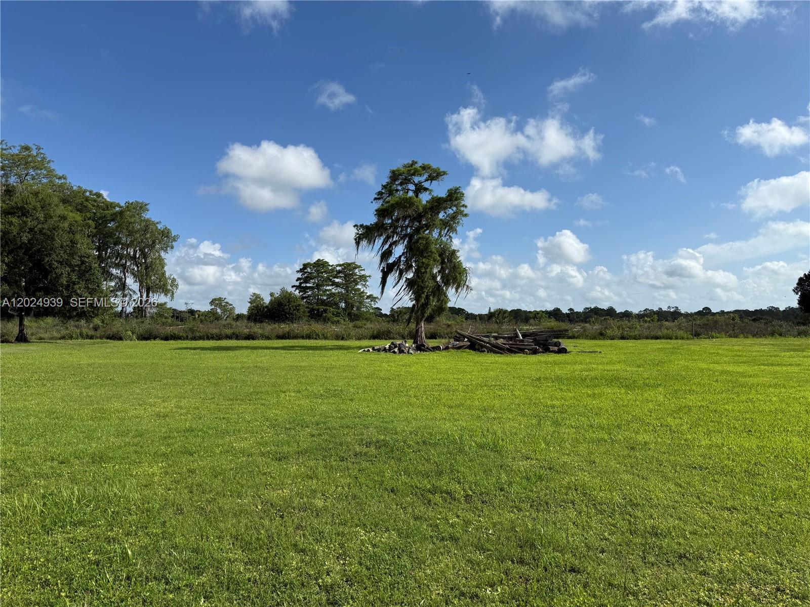 709 SIBONEY AVE, Clewiston FL 33440 photo 3