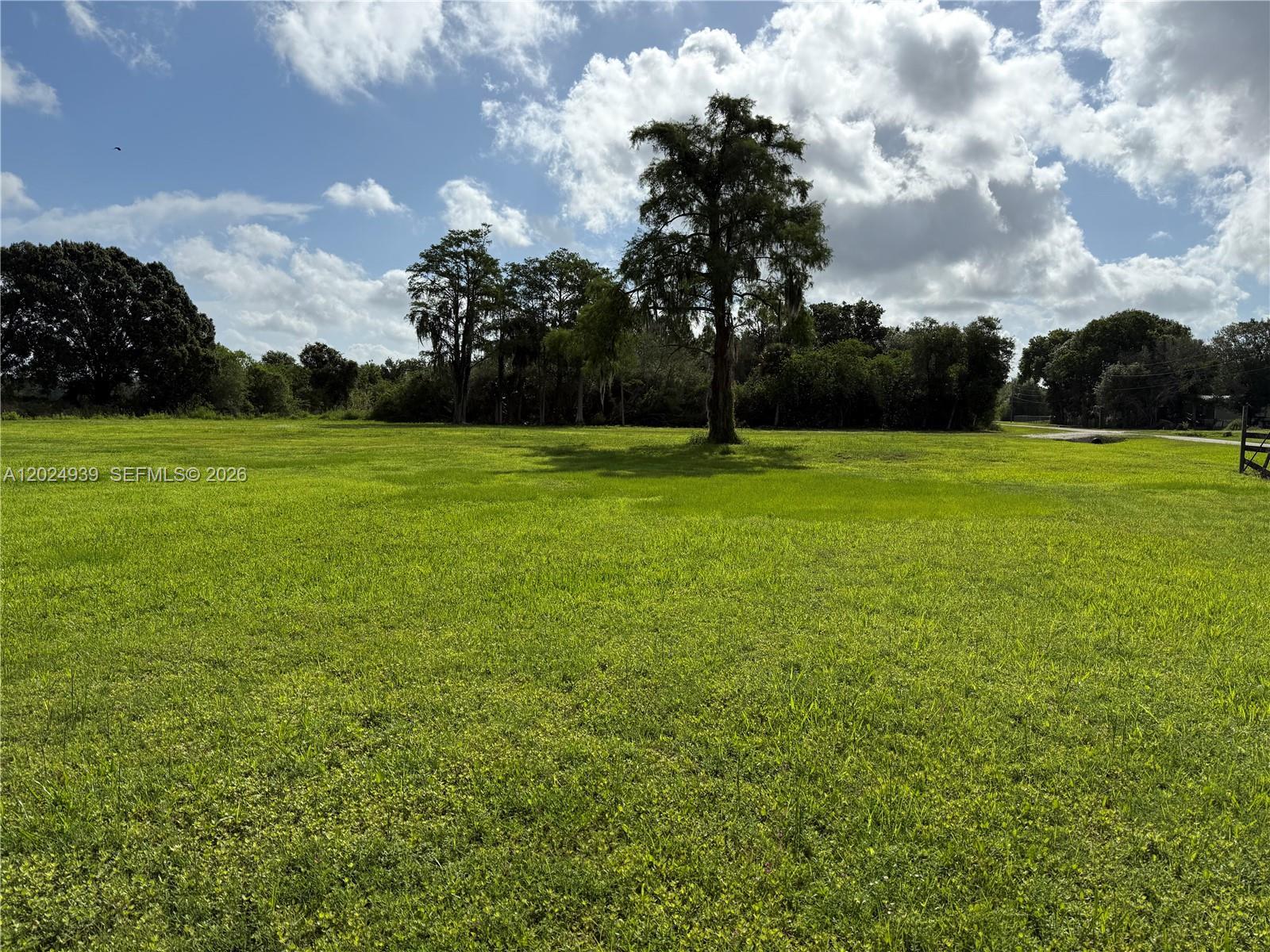 709 SIBONEY AVE, Clewiston FL 33440 photo 5