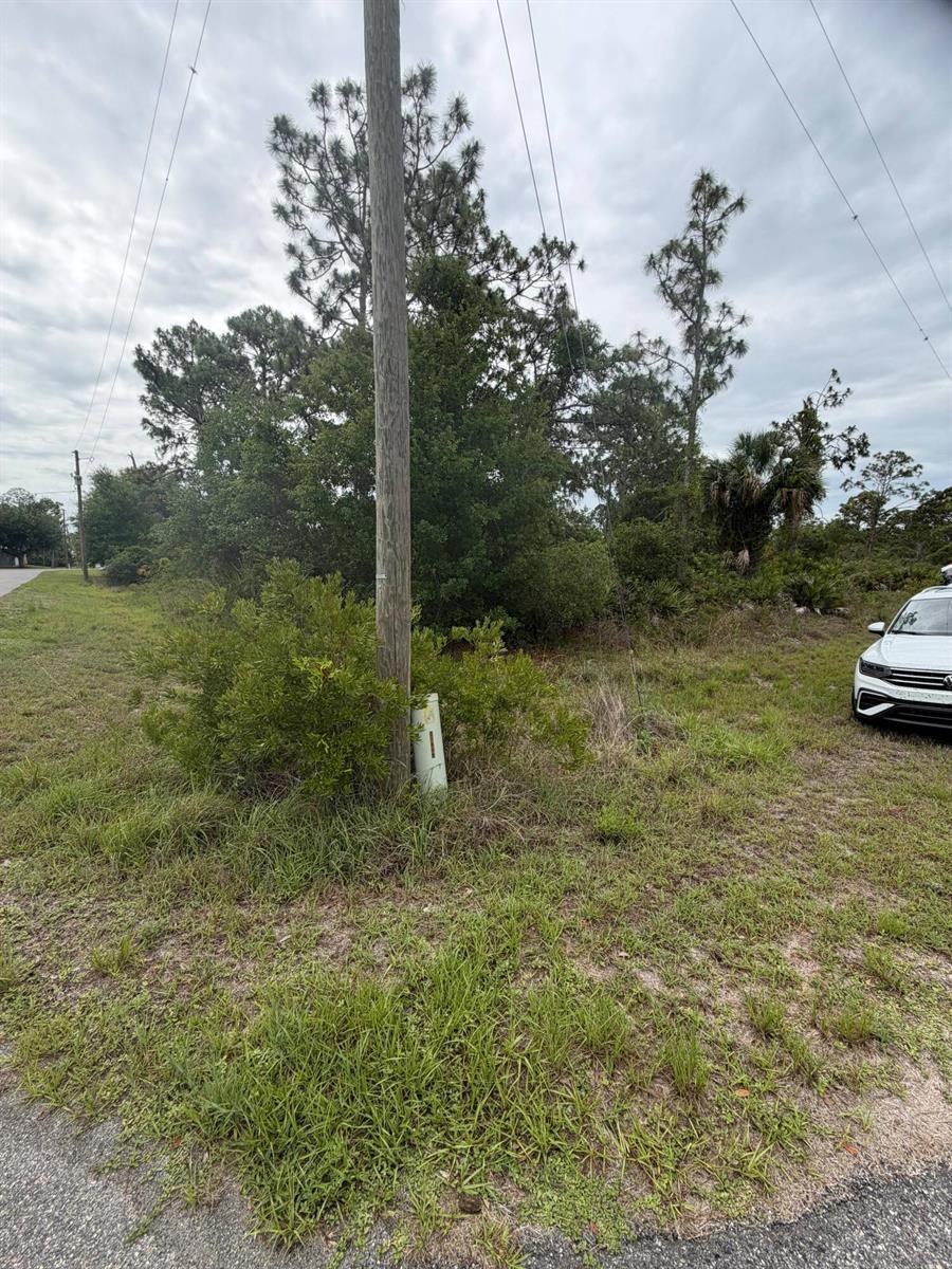 1170 Kingfisher Avenue NW, Lake Placid FL 33852 photo 2