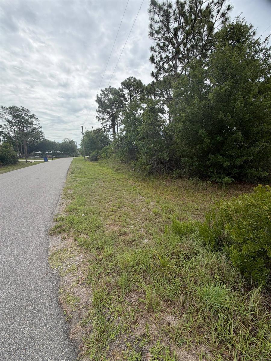 1170 Kingfisher Avenue NW, Lake Placid FL 33852 photo 3