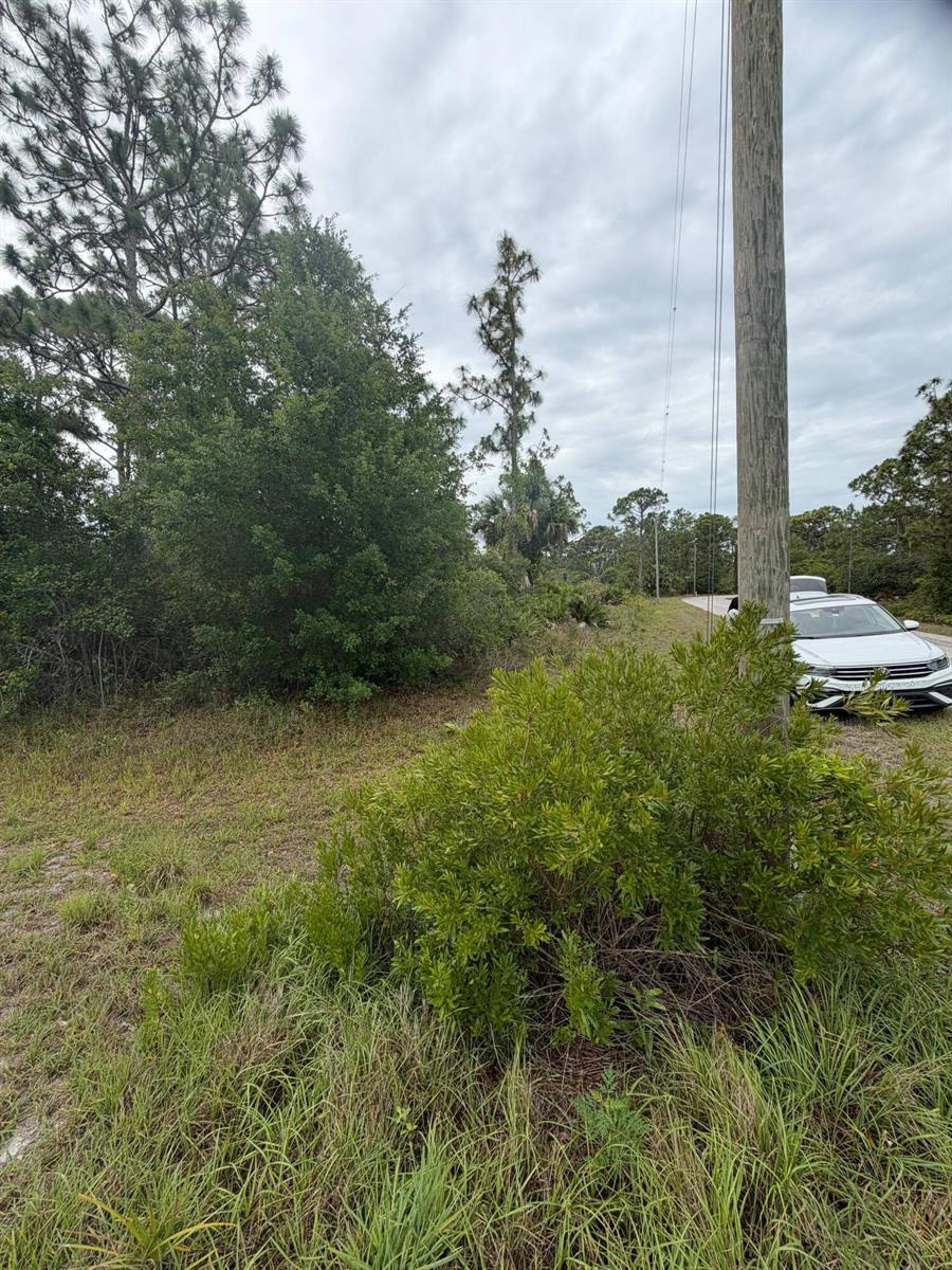 1170 Kingfisher Avenue NW, Lake Placid FL 33852 photo 4