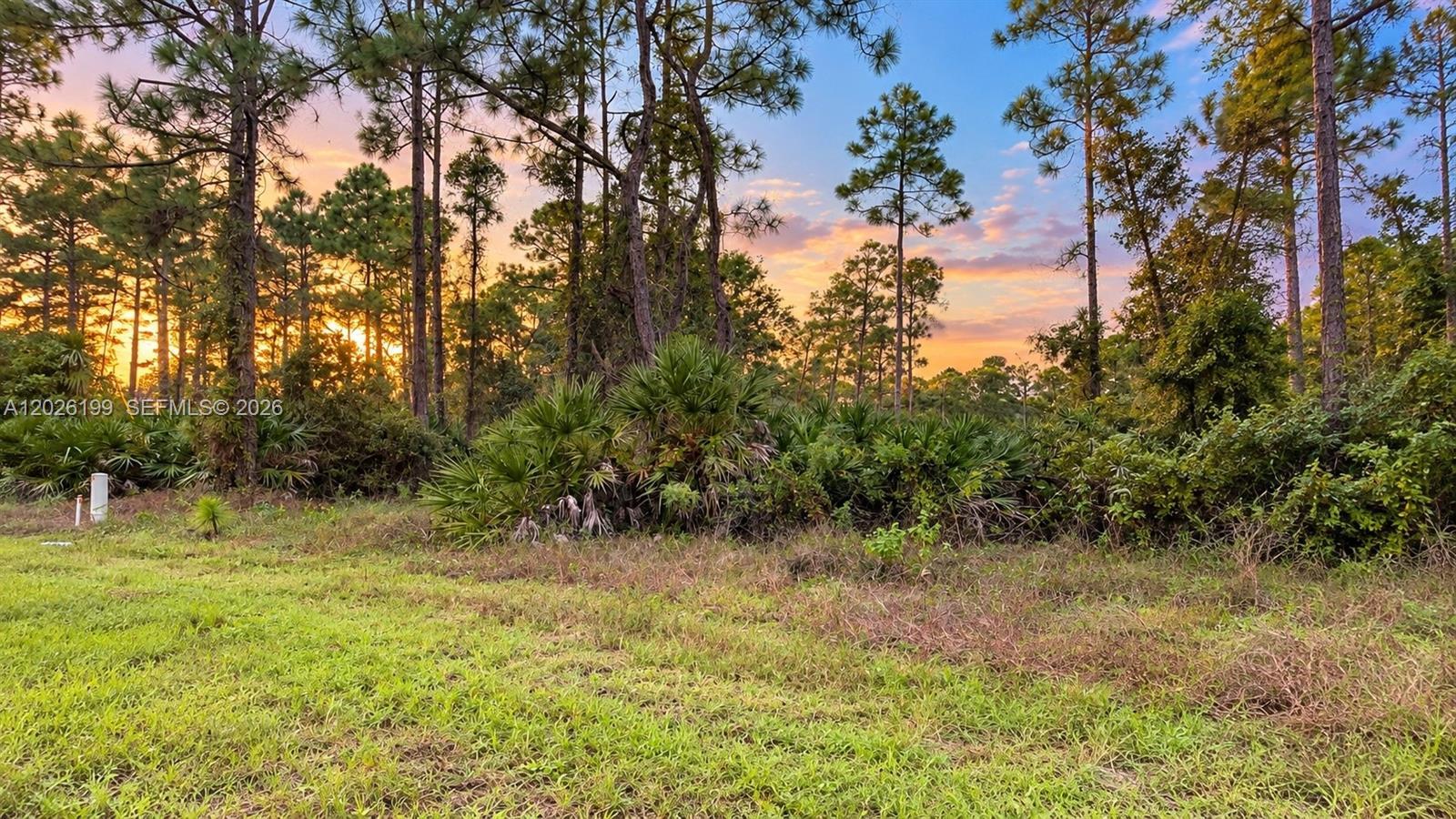 1047 Grove St E, Lehigh Acres FL 33974 photo 2