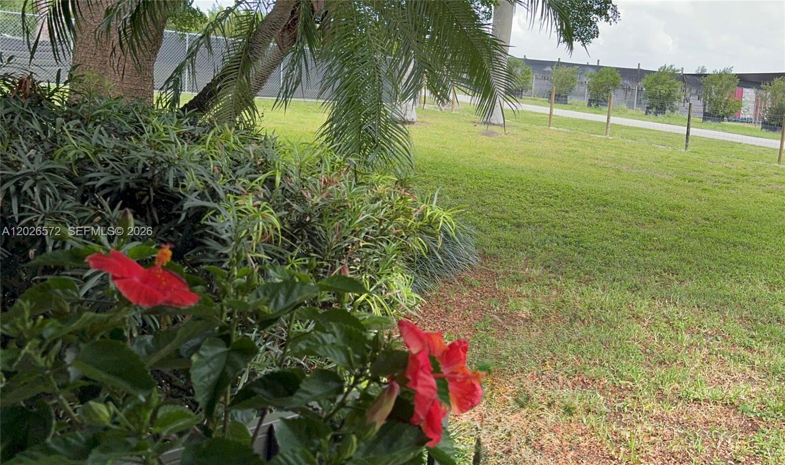 19505 SW 272nd St, Homestead FL 33031 photo 3