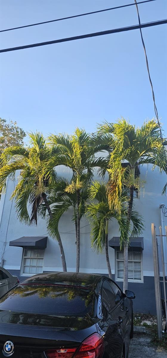 3615 Thomas Ave # 13, Miami FL 33133 photo 3