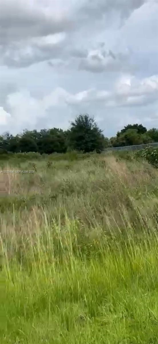 845 N Arboleda st Montura Ranches, Clewiston FL 33440 photo 5