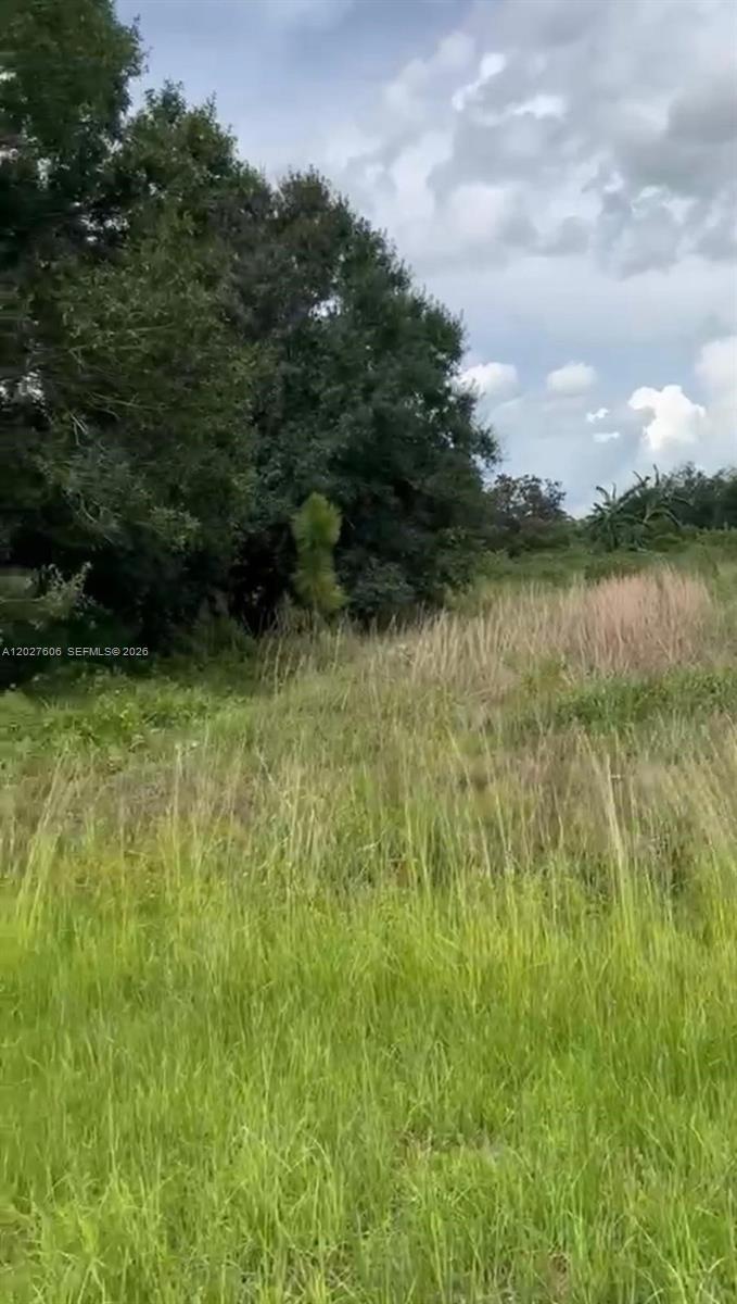 845 N Arboleda st Montura Ranches, Clewiston FL 33440 photo 4