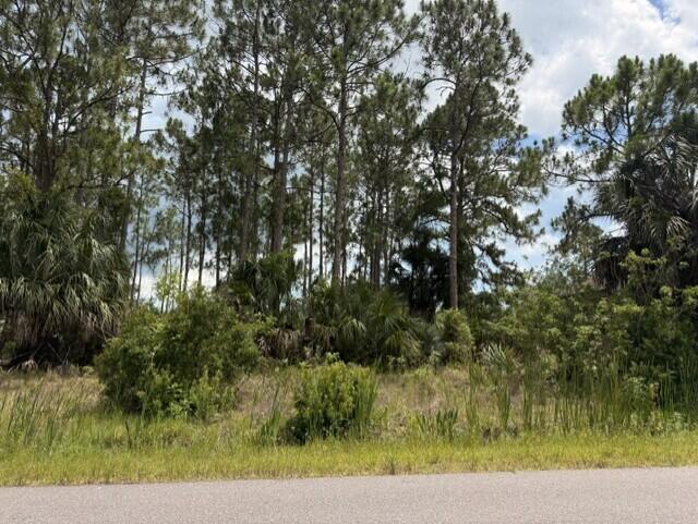 172 SW Lamar St Street, Palm Bay FL 32908