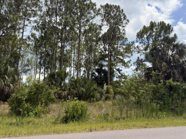 172 SW Lamar St Street, Palm Bay FL 32908 photo 5
